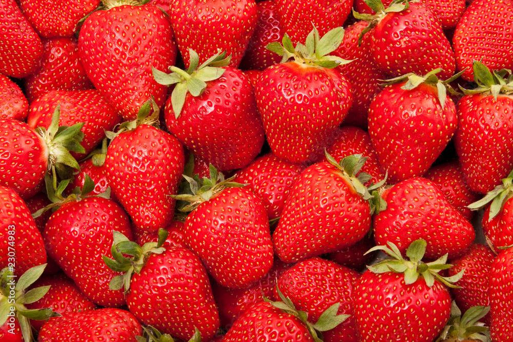 fresh strawberry fresh strawberry