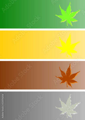 seasons