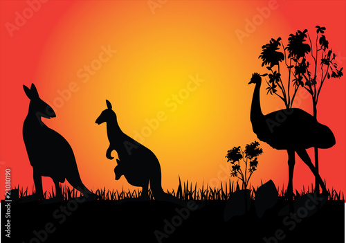 kangaroo and emu