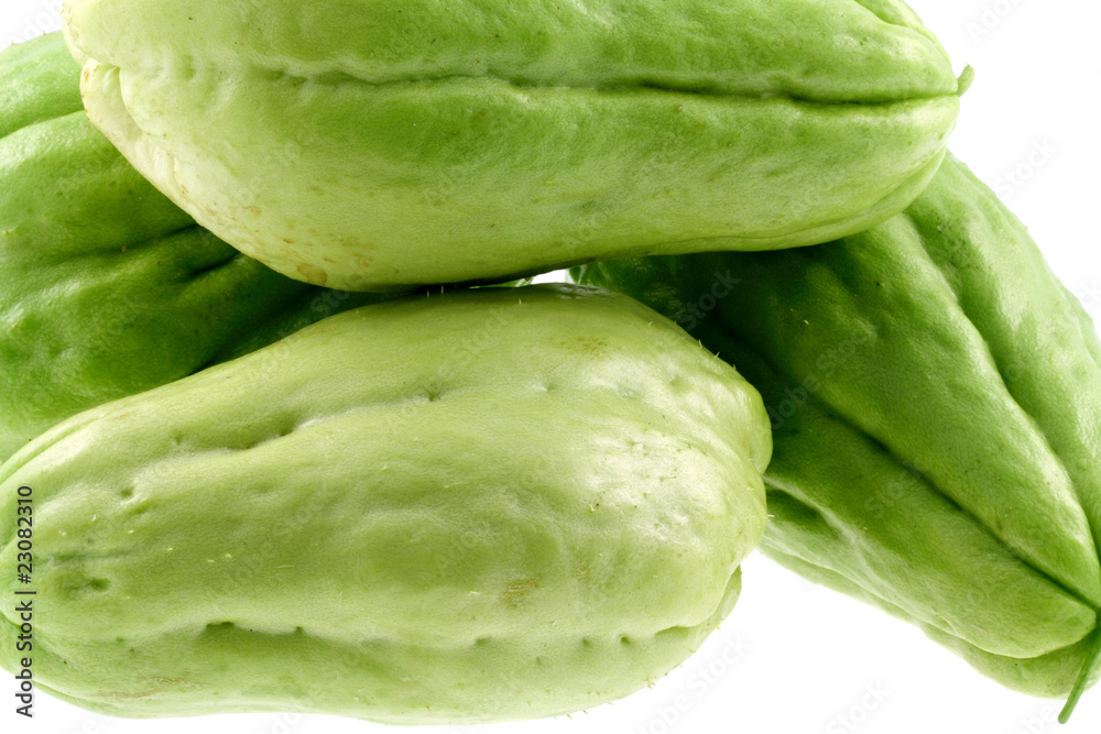 chouchoux, fond blanc chouchoux, fond blanc