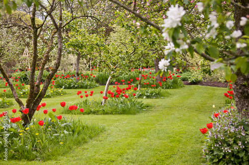 English country garden photo
