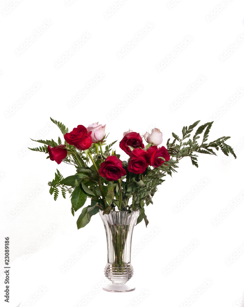 Bouquet of Pink and Red Roses on White