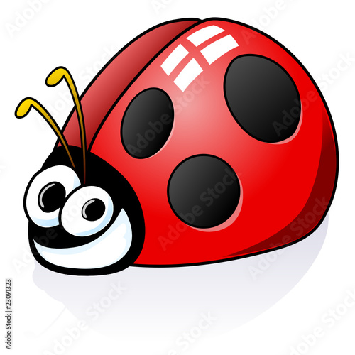 lady bird smile