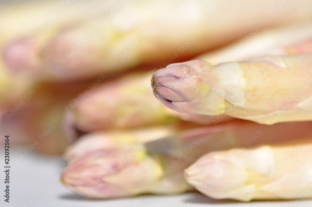 Naklejka premium pointes d'asperges blanches