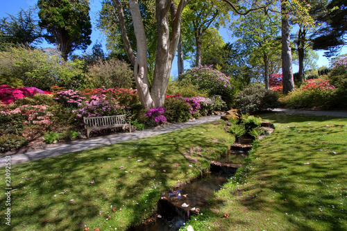 Bodnant Garden photo