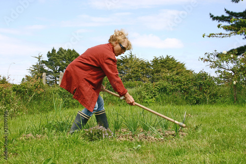 jardinage