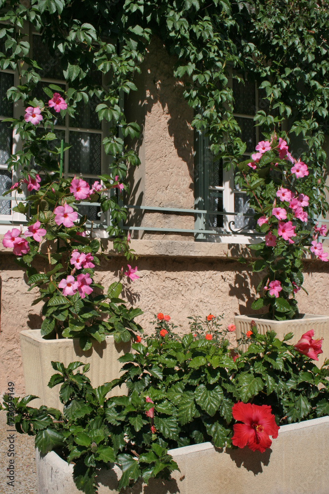 Obraz premium scorcio di provenza