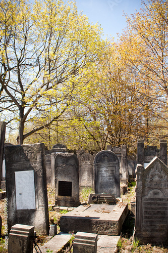 Old Jewish cemetery in Lodz