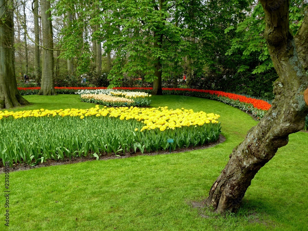 Obraz premium keukenhof