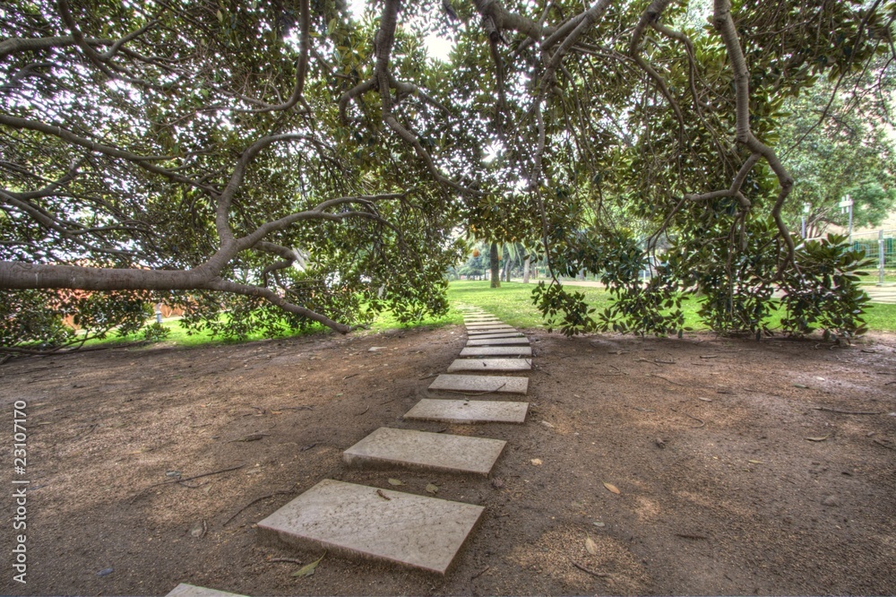 Path through the public park