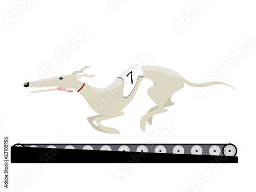Greyhound training by modern  treadmill