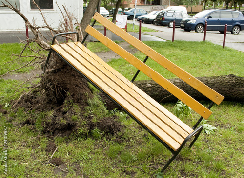 Storm damage