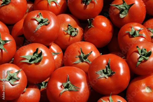 Fresh Tomatoes Background