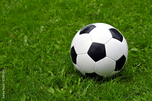 Fussball auf grüner Wiese WM © sonne_fleckl