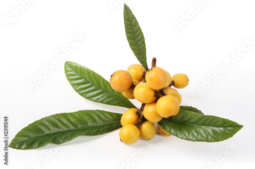 Tableau sur toile loquat fruits