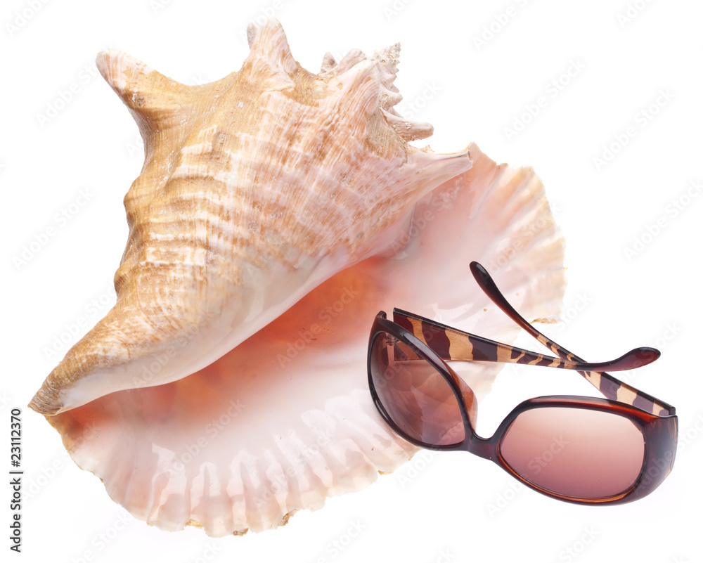 Obraz premium Conch Shell and Sunglasses
