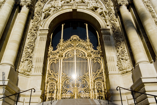 PORTE PETIT PALAIS photo