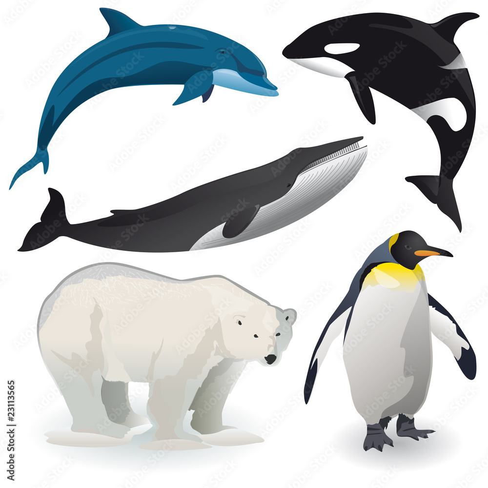 Obraz premium Animaux, vecteur