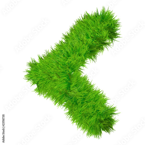 High resolution conceptual grass symbol isolated