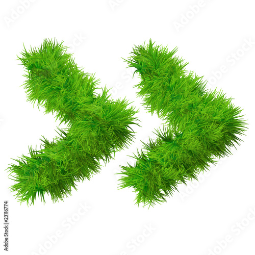 High resolution conceptual grass symbol isolated