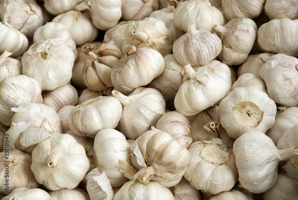 garlic garlic