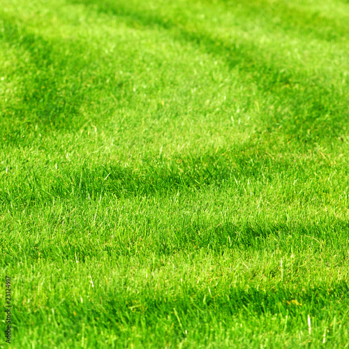 green grass background with stripes
