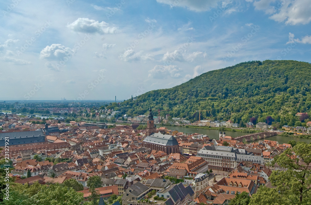Schlossblick auf die Altstadt Heidelberg