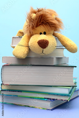 Children's toy lies on the combined books