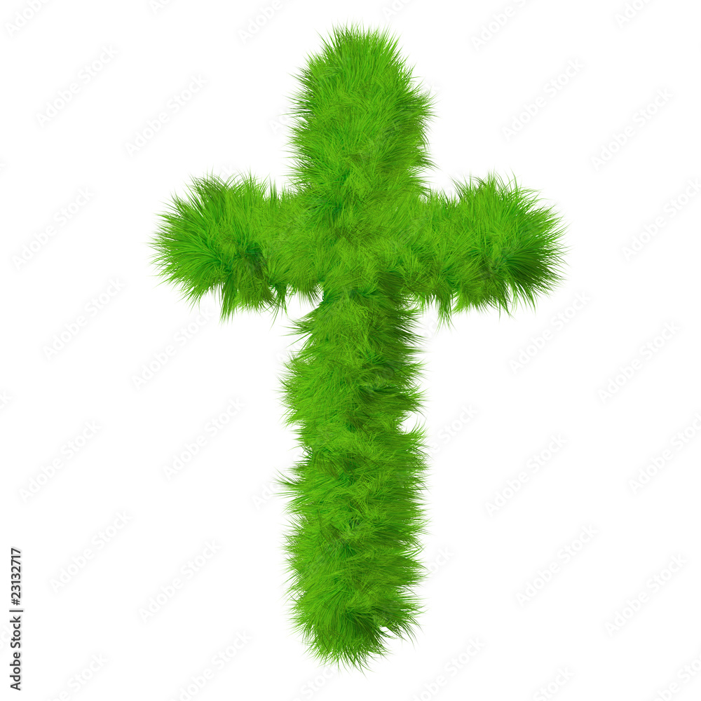 High resolution conceptual grass symbol isolated on white High resolution conceptual grass symbol isolated on white