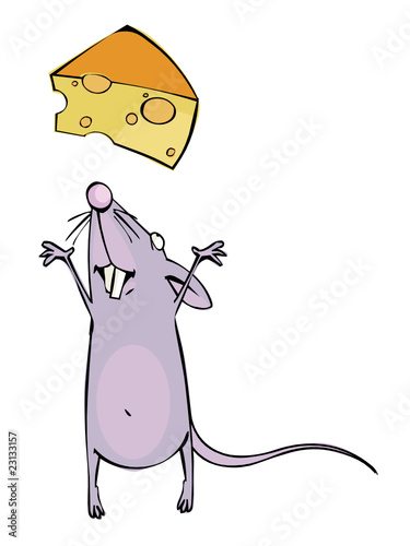 Mouse and cheese