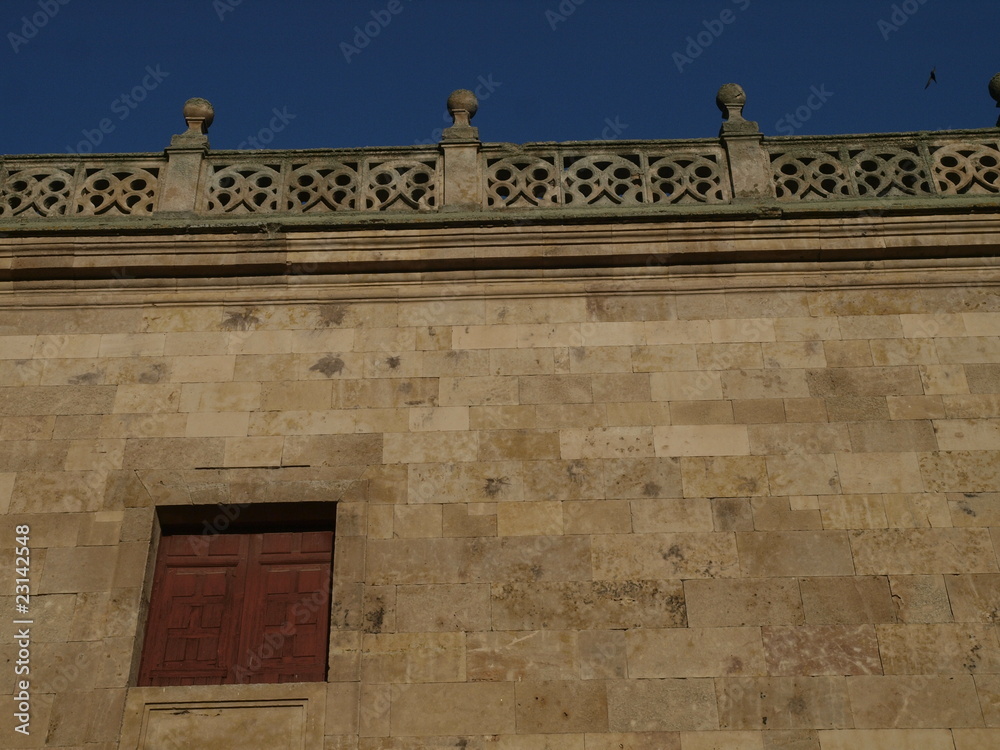 Naklejka premium Detalle de la Catedral de Salamanca