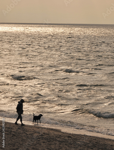 beach walk with dog
