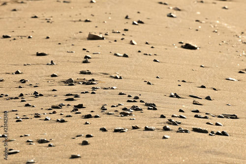 beach with stones