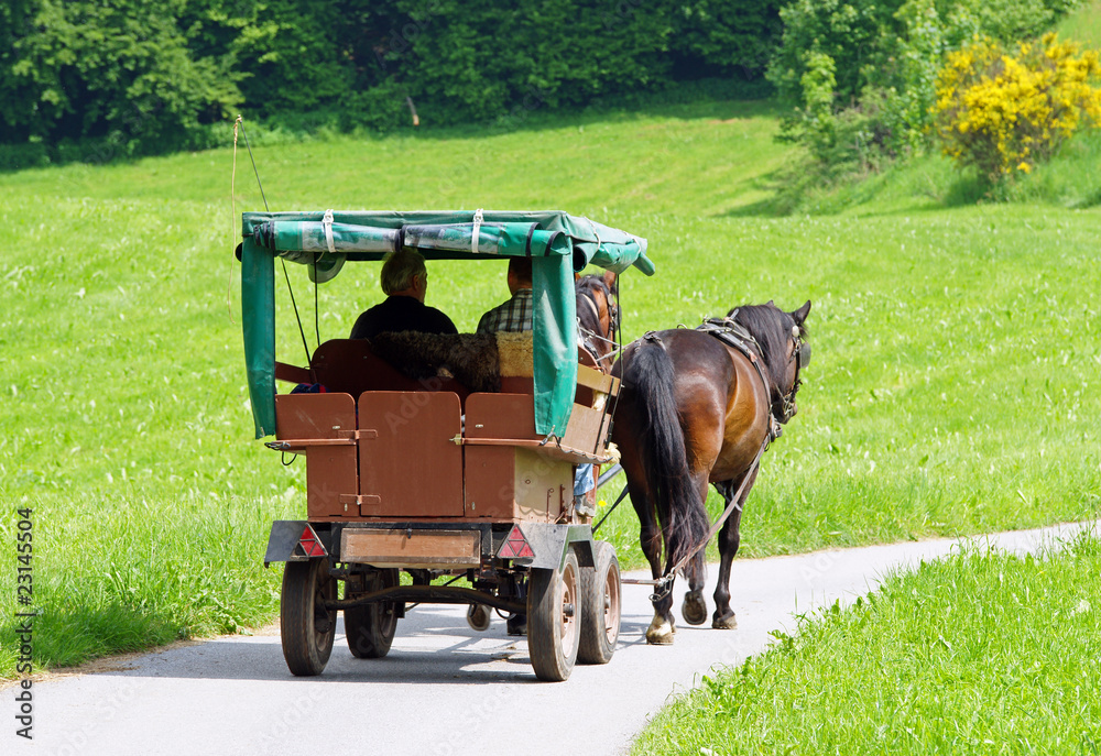 Obraz premium Pferdekutsche in der Natur - Horse Coach