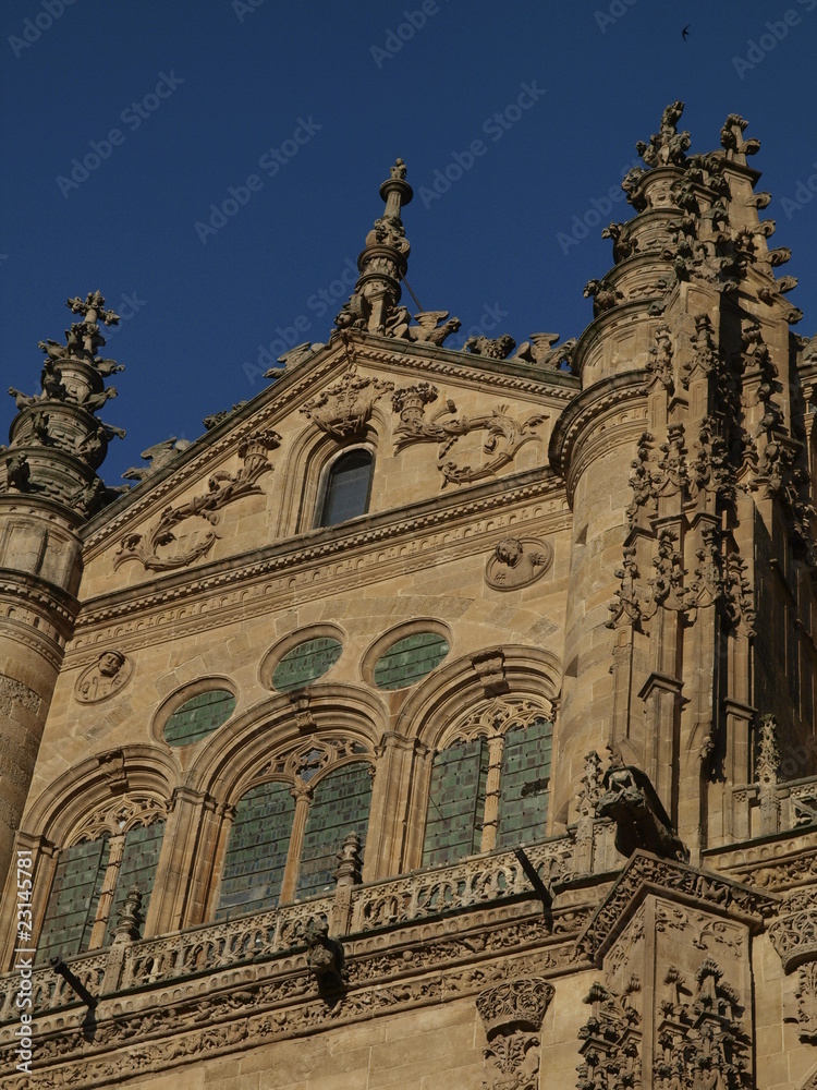 Detalle del pórtico de la Catedral Nueva de Salamanca
