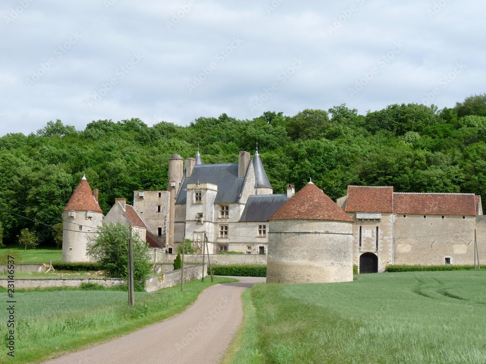 Château de Faulin, France