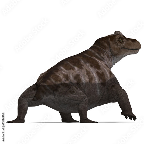 Dinosaur Keratocephalus. 3D rendering with clipping path and sha © Ralf Kraft
