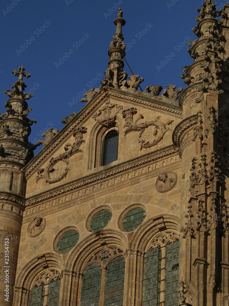 Detalle del pórtico de la Catedral Nueva de Salamanca