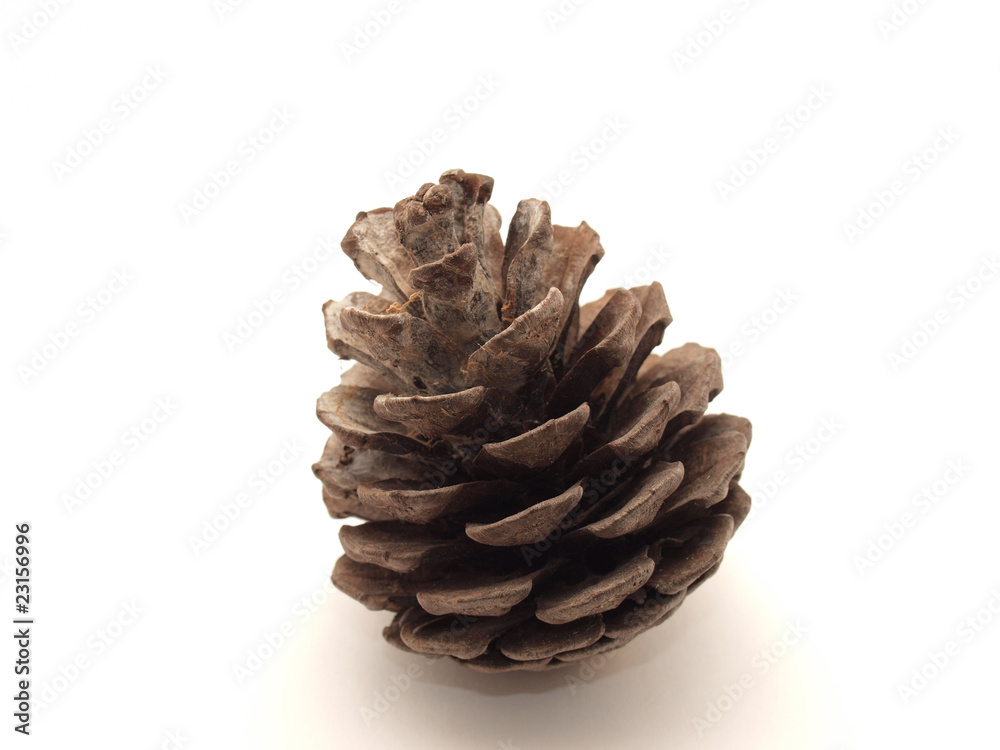 Cone Cone