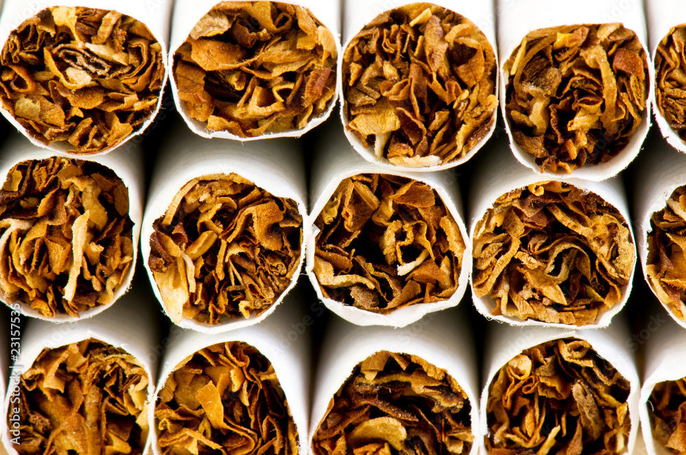 Close up of smoking cigarettes as antismoking concept Close up of smoking cigarettes as antismoking concept