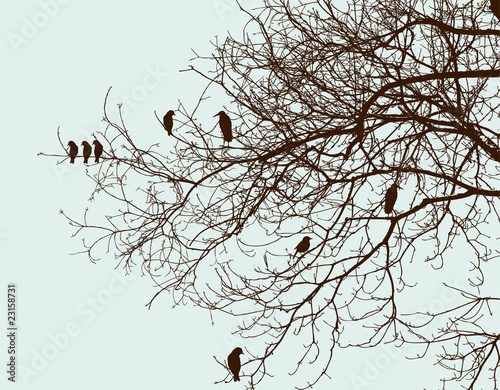 tree
