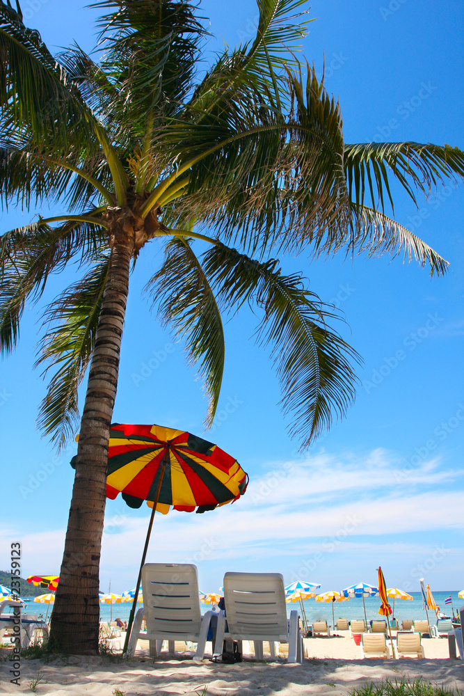 Fototapeta premium beach