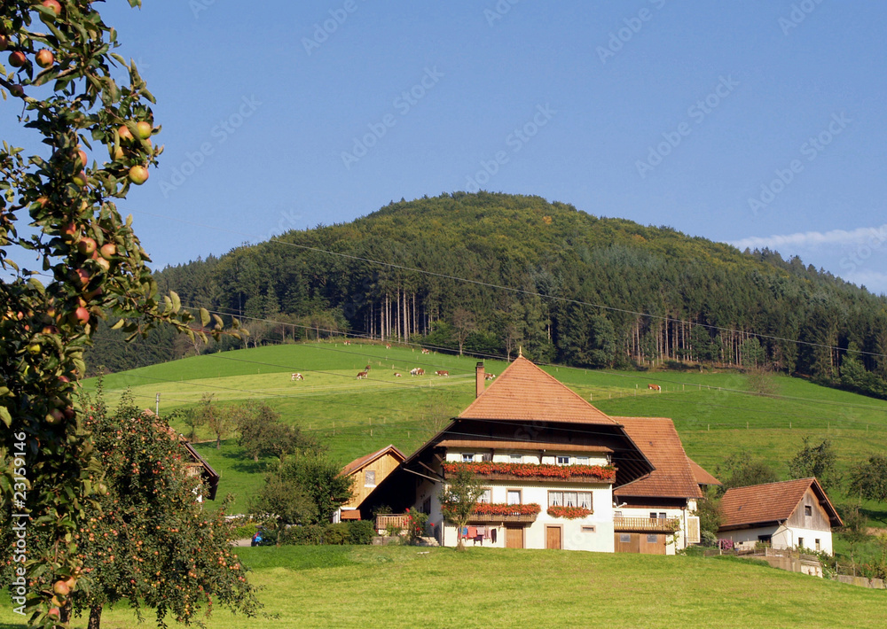 Schwarzwälder Bauernhof