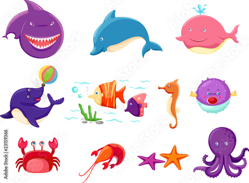 set of marine life