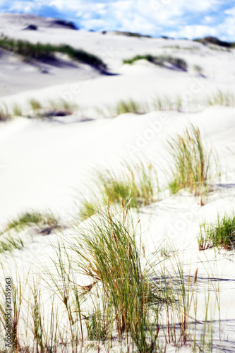 Sandy dunes near the sea in Nida