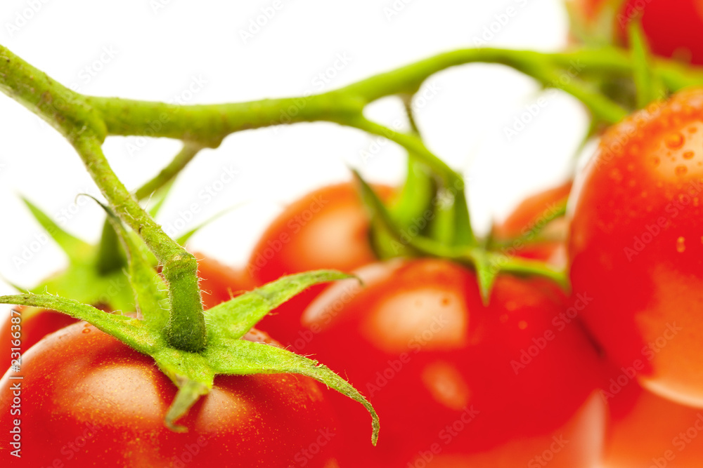 a bunch of tomatoes  isolated on white