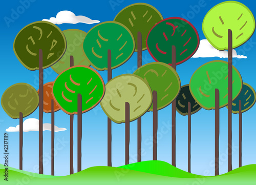 Forest_summer