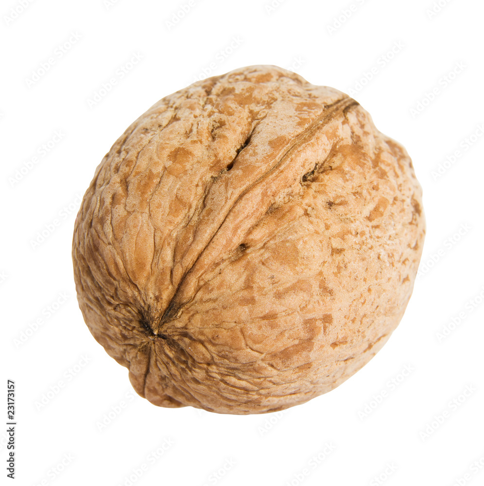 Nut isolated over white with clipping path Nut isolated over white with clipping path