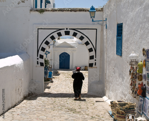 Jasminstrauch mit Kirche in Sidi Bou Said