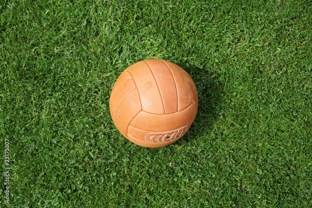 lederball lederball
